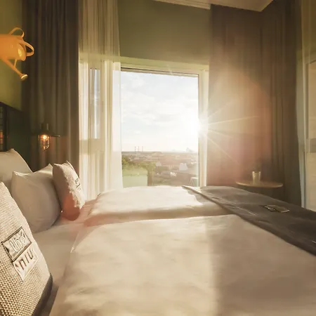 - The Niu, Dwarf Schoeneberg By Ihg